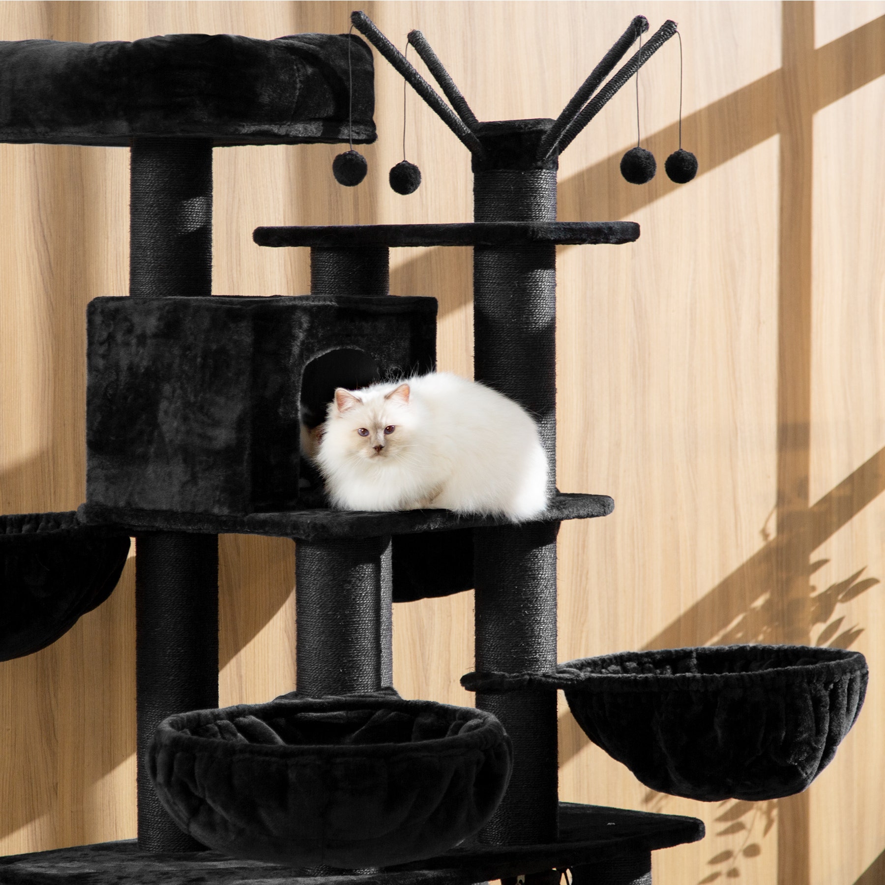 Black cat tree top