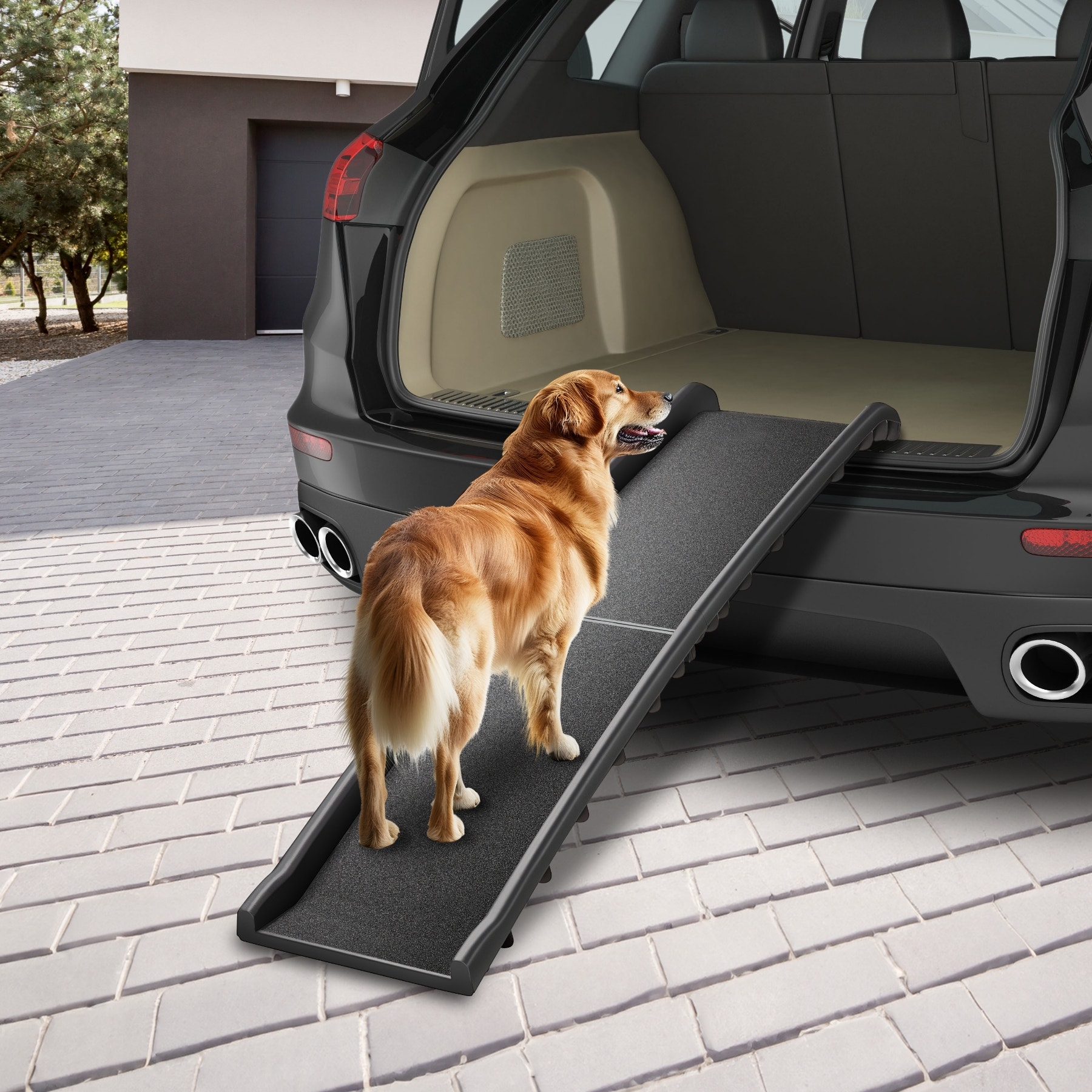Kleinmetall dog ramp clearance