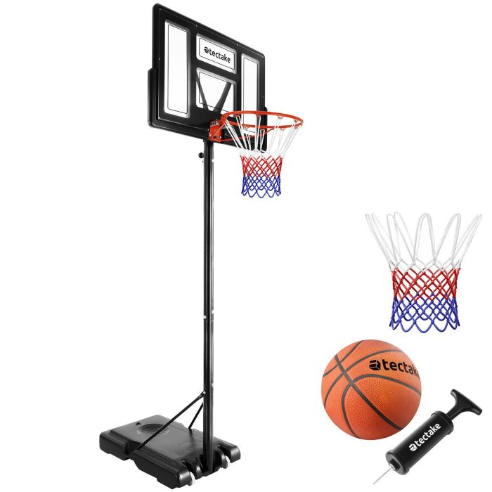 Canasta de baloncesto DIRK 230-305 cm